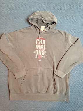 Majestic Gray Pullover Hoodie with Red White 'Champions' Graphic